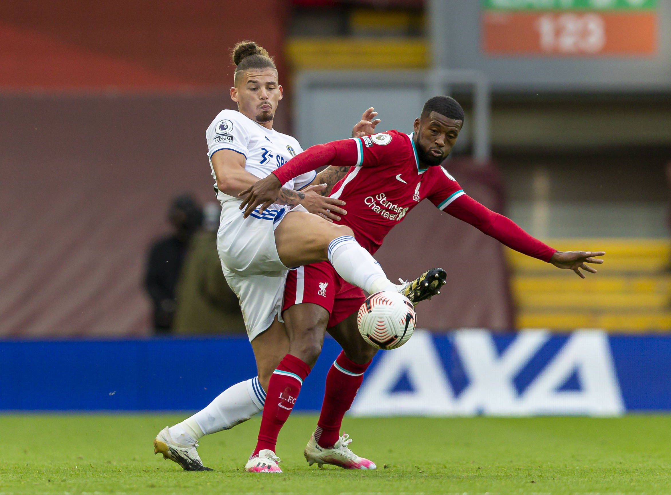 保持稳定的 保持稳定的