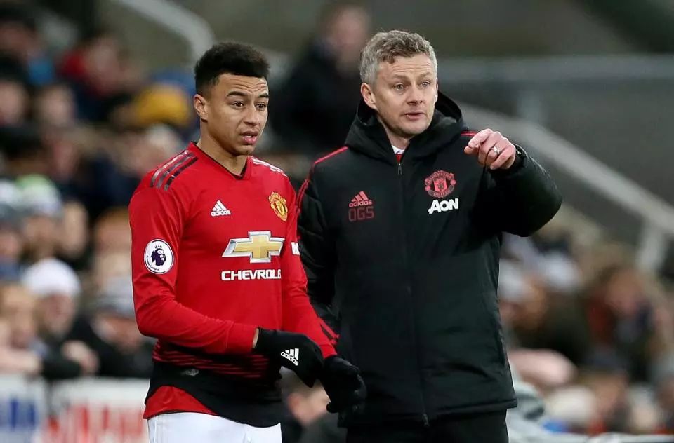 在新东家的 在新东家的